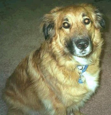 ban5.jpg - 32432 Bytes