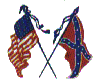 civil war 
flag