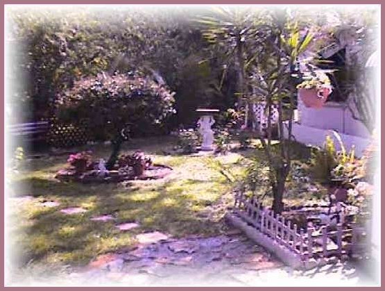 I do all my own yard work