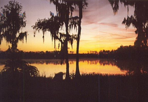 My back Yard! (Photo taken at sunrise in march)