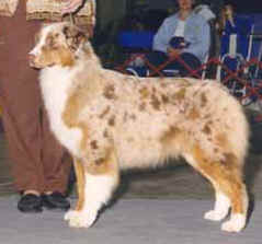 baily.jpg (27143 bytes)