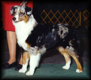 laceymom1.jpg (31915 bytes)