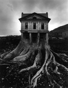 What are you saying? I just woke up.