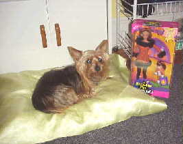 Visit Penny's Website!