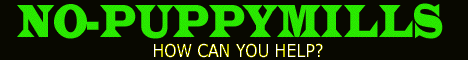 CLICK FOR NO PUPPY MILLS