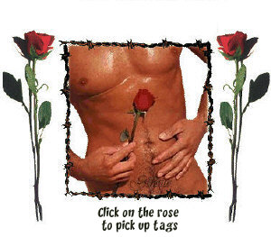 Check out the Valentine Hunk Tags!