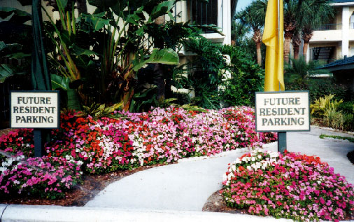 landscape picture # 1