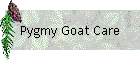 Pygmy Goat Care