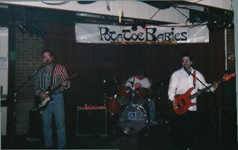 Can you spot the sheep?