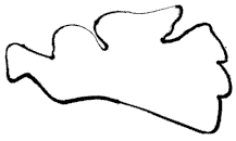 angel.gif (2342 bytes)