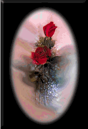 framedroses.gif (15006 
bytes)
