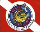 DiveAbaco.jpg