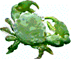 animated crab