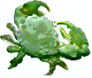 animated crab