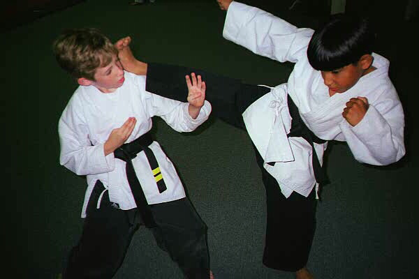 Light contact sparring