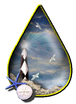 Found this beautiful Teardrop at the Garden of Friendship