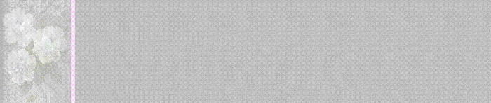 White Poppies Stationery