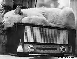 La Ballade des furies