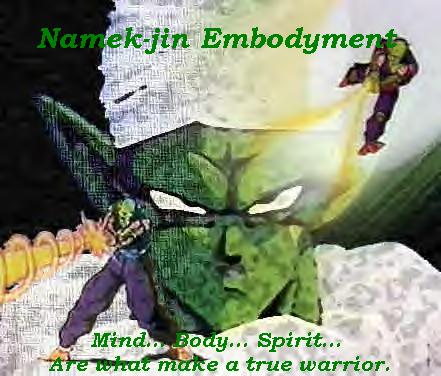 Namek-jin Embodyment