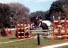Red Hills Horse Trials 2