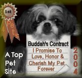 This award is presented to ME by My webdesigner's pet puppy