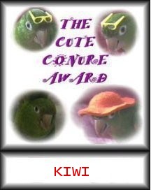 this website belongs to Cosmo all the way in South Africa