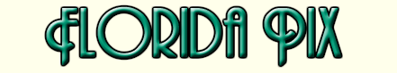 Florida Pix
