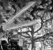 {short description of image}