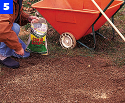 {short description of image}