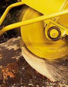 {short description of image}