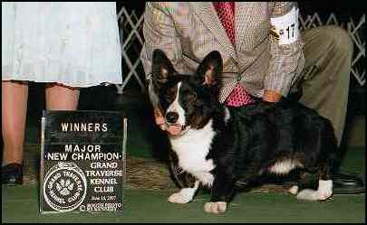 Comma_Finish.jpg (13388 bytes)