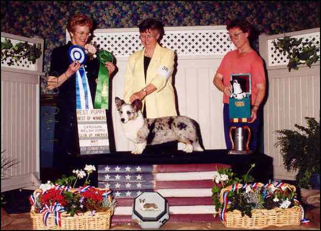 images/cammie.jpg (54198 bytes)