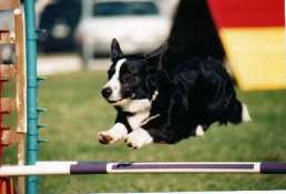 images/elliot.jpg (7123 bytes)