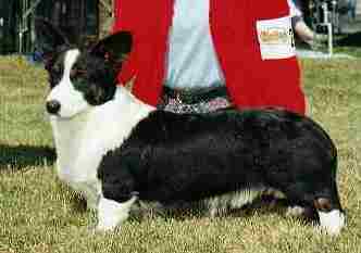 laudyoutsidecrop.jpg (7171 bytes)