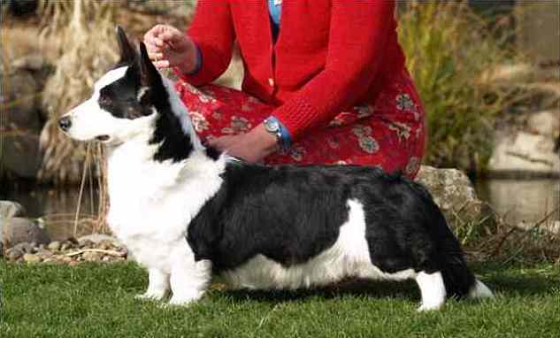 luther020908brdr.jpg (24295 bytes)