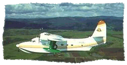 Jimmy's Hemisphere Dancer