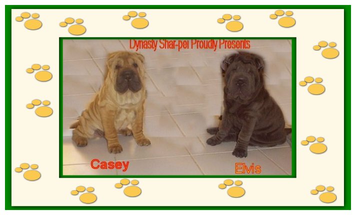 sharpei puppies
