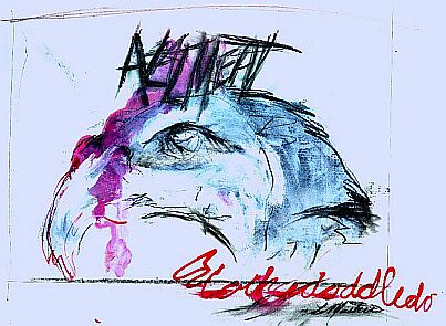 Image 4 of 16  -  36 kB