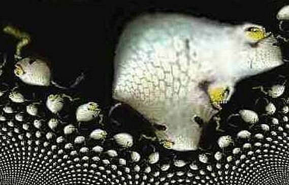 Image 9 of 15  -  48 kB