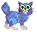 dazzle cat