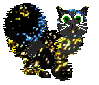firework cat