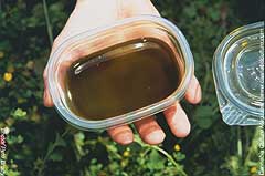Tupperware full of resins to keep the marchers going.