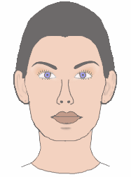 liner.gif (78892 bytes)