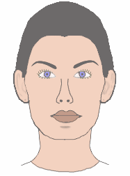 shadow.gif (104616 bytes)