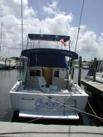 Click for Large Image