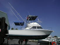 Click for Large Image