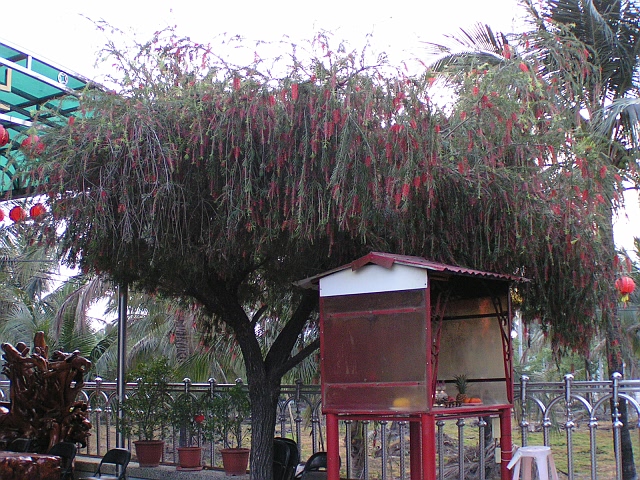 ** PLEASE DESCRIBE THIS IMAGE **