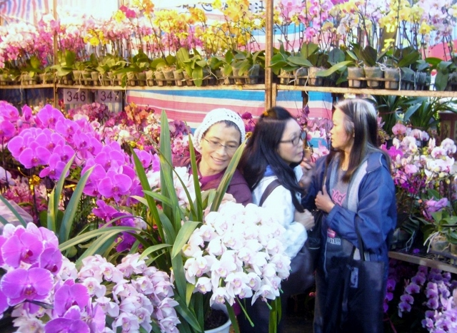 中國農曆新年 Chinese New Year 