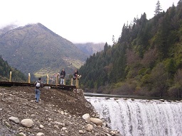 Welcome To My Movie Page