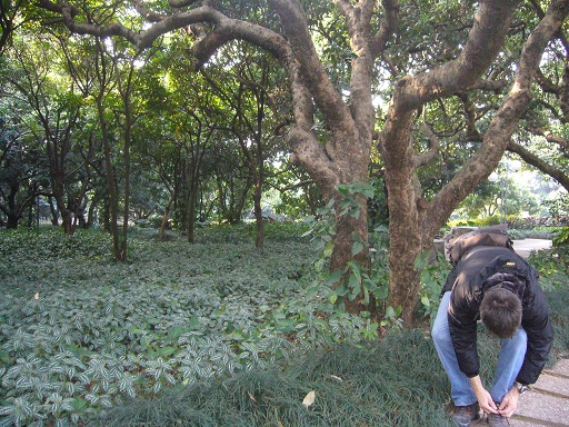 桃花農場 FoShan 2011 